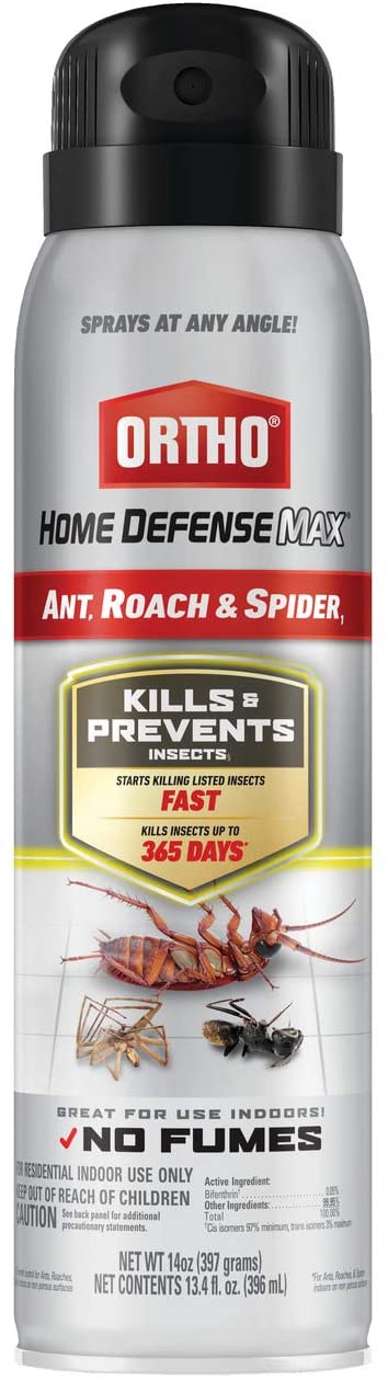 Home-Defense-Max-Roach-and-Spider