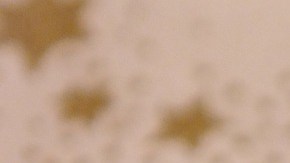 aretes dorados y accesibles