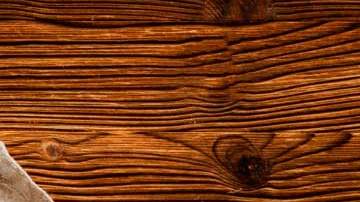 bicarbonato de sodio