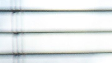 plantas para decorar en interiores