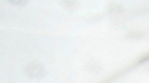 Compras por Internet y grandes descuentos