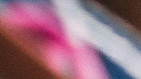 estanteria de zapatos deportivos