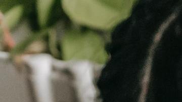 niña frente a la laptop