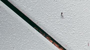 Compra tus productos cosméticos favoritos en los mejores momentos. Foto de Pexels