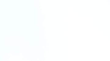 semilla-de-brasil-amazon