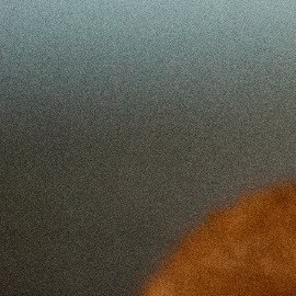 aplicaciones móviles para saber qué productos son de crueldad animal
