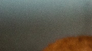 aplicaciones móviles para saber qué productos son de crueldad animal