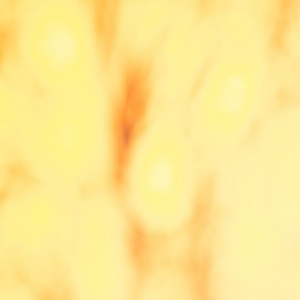 Aromatizantes para la casa u oficina