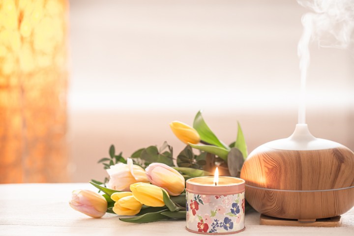 Aromatizantes para la casa u oficina