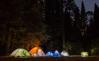 carpas en el bosque