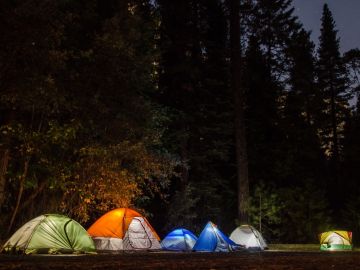 carpas en el bosque