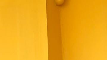 carritos de compras en Walmart