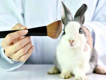 Conejo maquillado