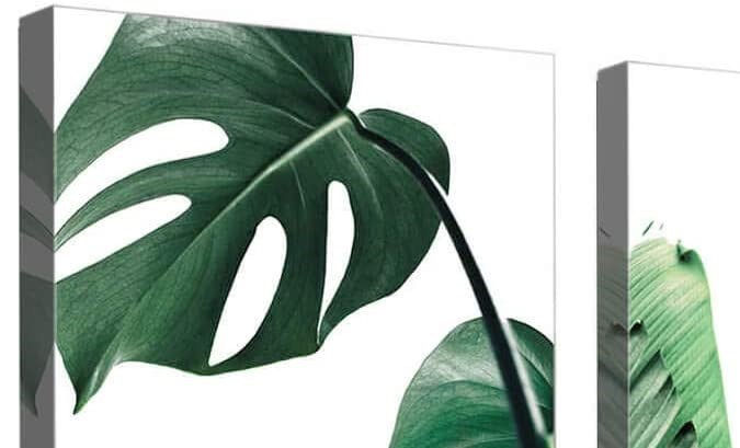 cuadros para la pared