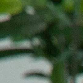 hombre frente a la computadora con dolor muscular