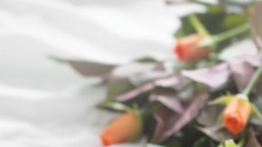 flores y regalo sobre la cama