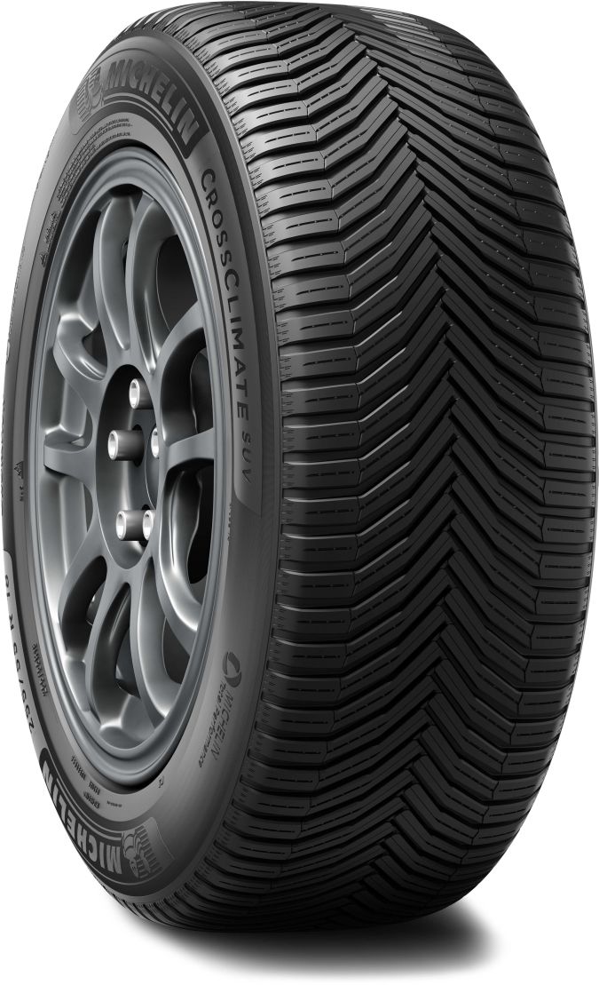 Neumático Michelin