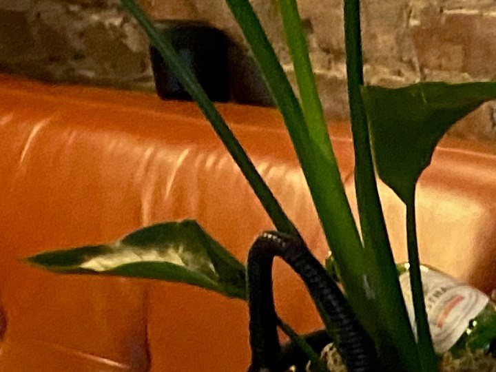 Todos los elementos en esta mesa suman menos de $100 dólares.