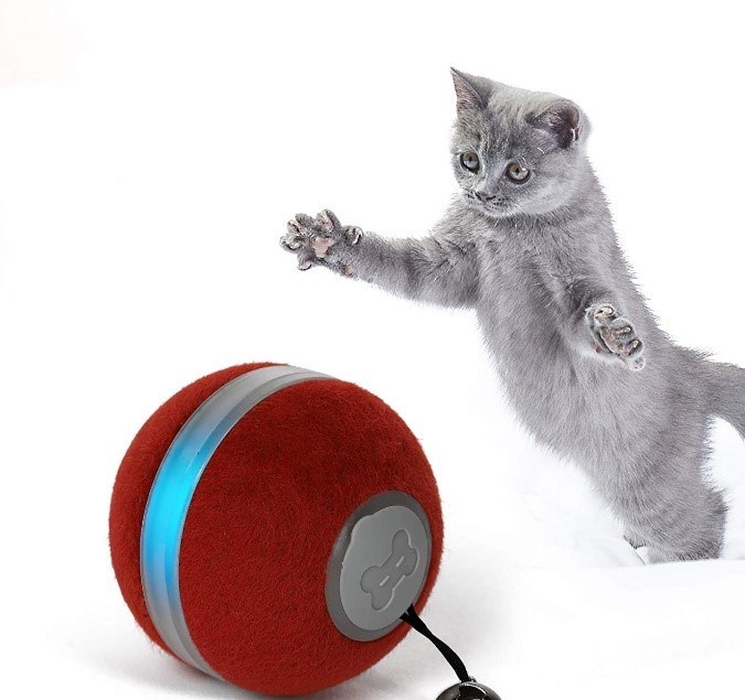 bola inteligente para gatos