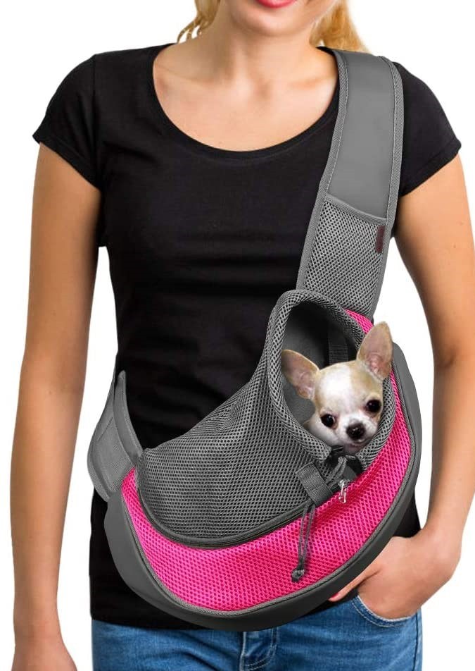 transportador para perros