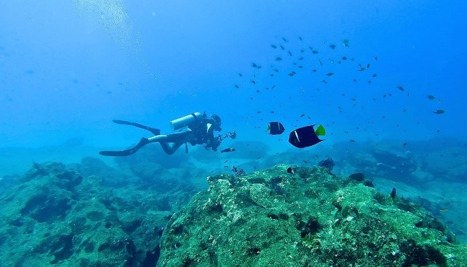 playas de méxico cabo palmo