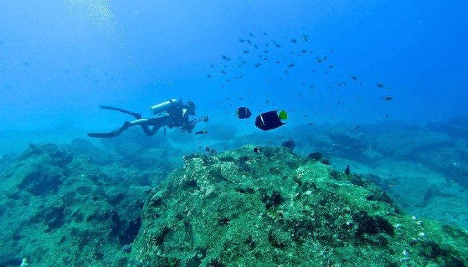 playas de méxico cabo palmo
