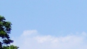 casa blanca desde el jardín