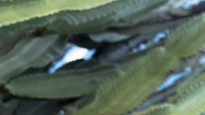 hombre con laptop y celular