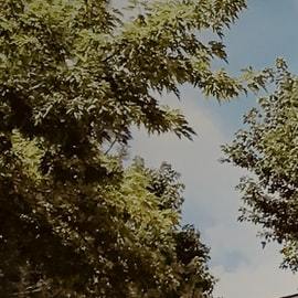 garaje con un auto afuera