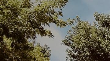 garaje con un auto afuera