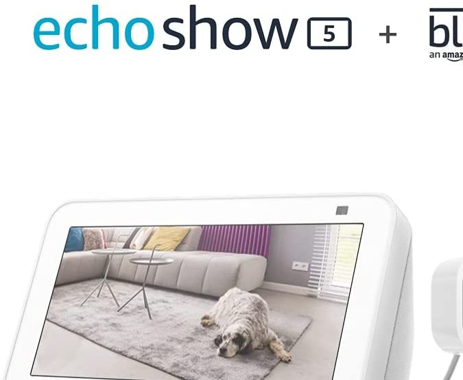 monitor con cámara de seguridad echo show