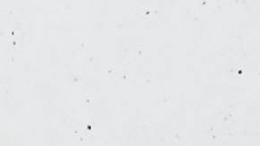 consola nintendo switch