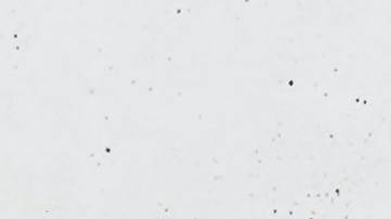 consola nintendo switch