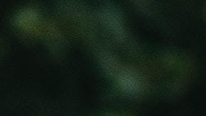 día del padre en amazon