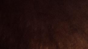 manos de padre e hijo