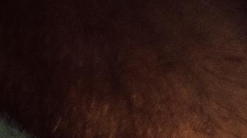 manos de padre e hijo