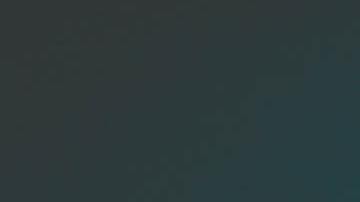 día nacional del mejor amigo