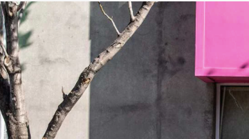 ford maverick 2022 en otoño