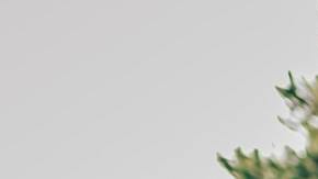 padre con su bebé pequeño