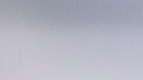 A partir del 4 de agosto, el nuevo "Cup for Pup" estará disponible por $1 en restaurantes de Dunkin’
ofreciendo crema batida para tu amigo peludo, para una buena causa. Créditos: Dunkin'