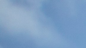 T.J.Maxx ofrece cientos de descuentos y ofertas de verano imperdibles en productos para tí, el hogar, y hasta para tus mascotas. Te compartimos algunas de las mejores | Crédito: Shutterstock