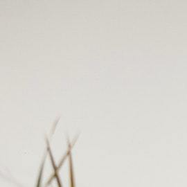 rack de ropa plus size