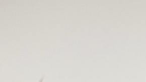 rack de ropa plus size