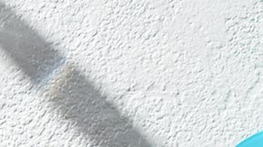 productos de Tula Skincare con probioticos