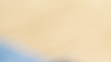 ¡Esta aplicación es gratis! La Capital One Shopping App te ayuda a ahorrar dinero mientras compras en línea.