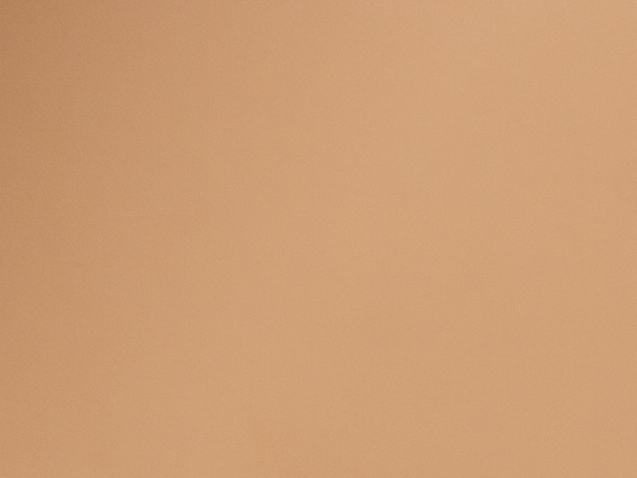 Entre las cientos de marcas de belleza y cuidado personal siempre encontrarás opciones muy populares por su efectividad y beneficios mayores para lograr tener una piel saludable.