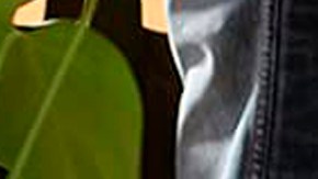 Nuevo Robot Astro de Amazon