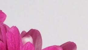 productos apple sobre la mesa