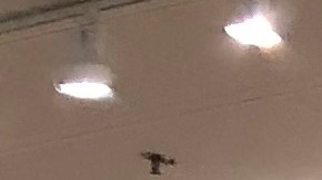 Ropa de otoño Target