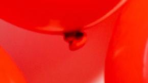 Cartel con palabras Black Friday con globos de descuento